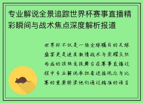 专业解说全景追踪世界杯赛事直播精彩瞬间与战术焦点深度解析报道